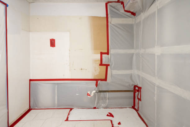  Falmouth, VA Mold Removal Pros