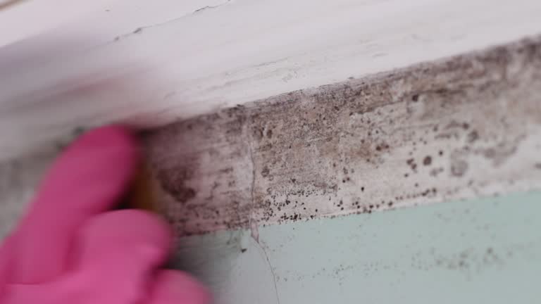 Best Post-Remediation Verification Testing  in Falmouth, VA